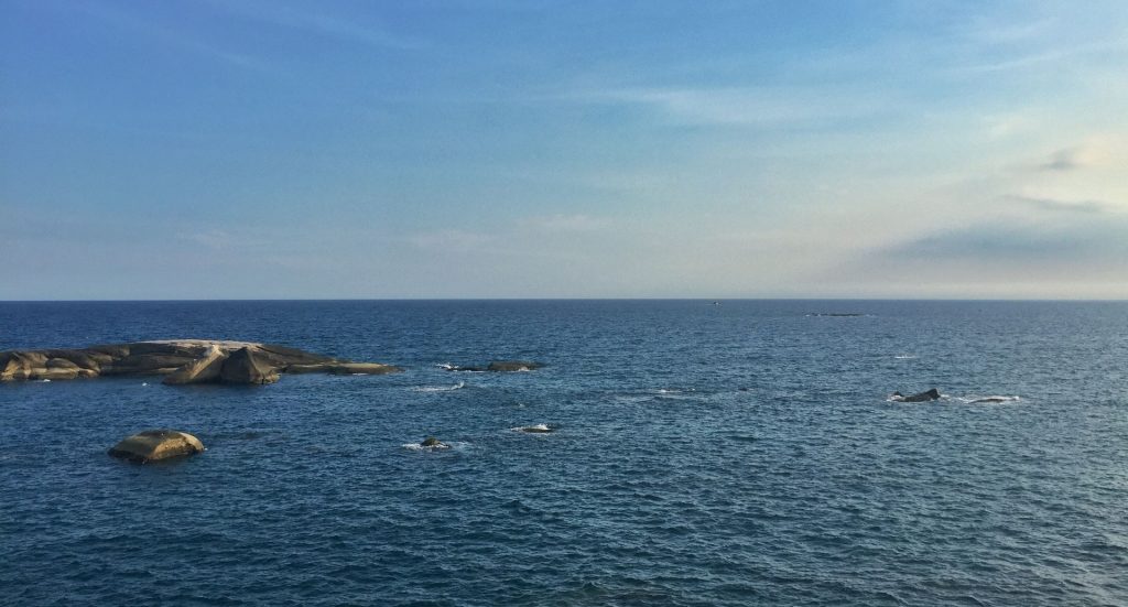 south-china-sea-2108394_1920